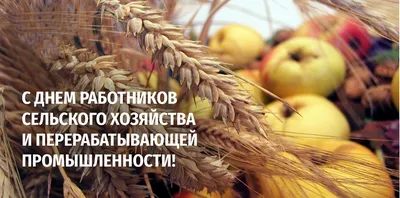 ПОЗДРАВЛЕНИЕ АКИМА РАЙОНА ГАЙДАРА КАСЕНОВА С ДНЕМ РАБОТНИКОВ СЕЛЬСКОГО  ХОЗЯЙСТВА