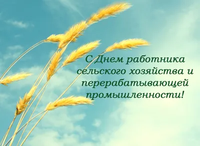 Открытка с Днем работника сельского хозяйства. Пусть все, что происходит,  будет благом, и спорится работа … | Сельское хозяйство, Открытки,  Поздравительные открытки