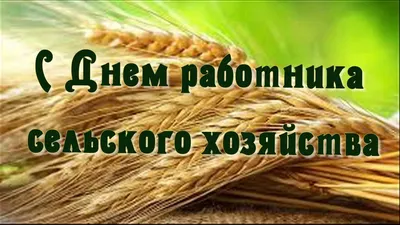 Поздравления с Днём работников сельского хозяйства и перерабатывающей  промышленности агропромышленного комплекса