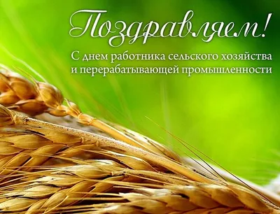 С праздником — Днем работника сельского хозяйства! — Якутский  научно-исследовательский институт сельского хозяйства имени М. Г. Сафронова