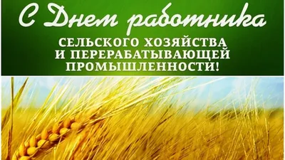 День сельского хозяйства Украины 2021: открытки и поздравления к празднику  | OBOZ.UA