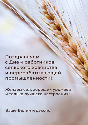 С Днем работников сельского хозяйства и перерабатывающей промышленности |  ОАО «Щучинский завод «Автопровод»