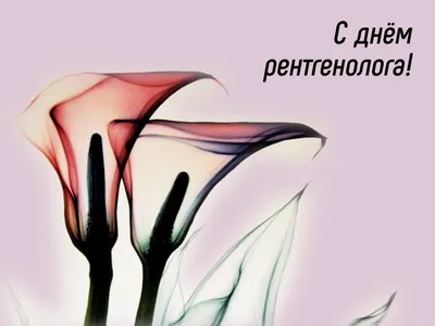 С Днем Рентгенолога! | 08.11.2021 | Архангельск - БезФормата