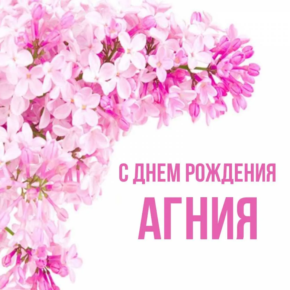 С днем рождения агния картинки