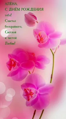 Кружка \"Алена. С днем рождения\", 330 мл - купить по доступным ценам в  интернет-магазине OZON (896172463)