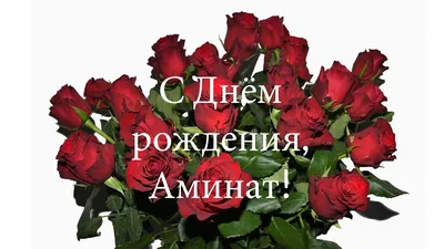 Поздравляем Амину с Днем рождения: фотографии в PNG формате