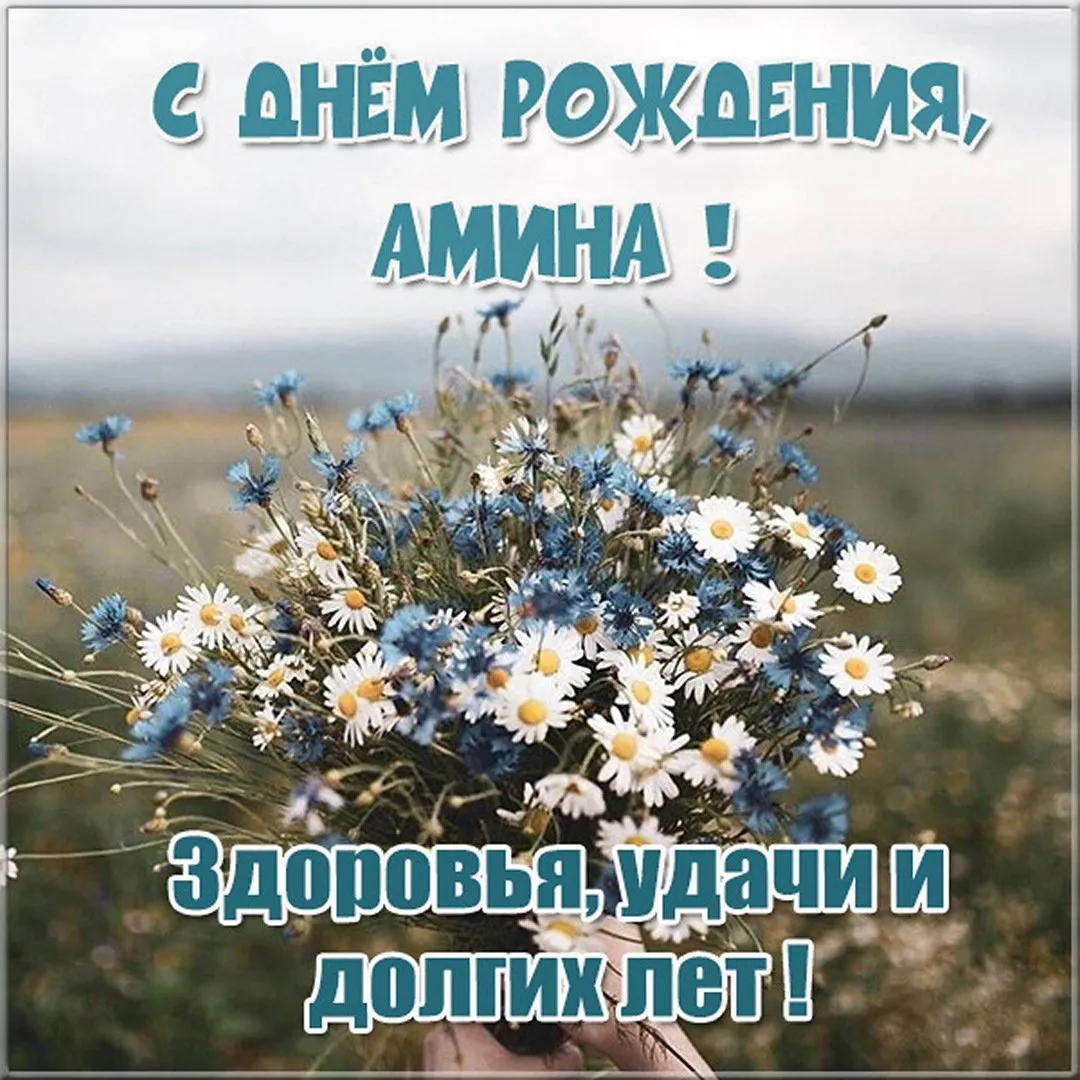 Счастья и здоровья: фото для поздравления Амины Счастья и здоровья: фото для поздравления Амины
