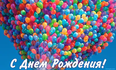 С Днем Рождения, Данил Алексеевич! - Федерация Кёкусин-кан карате  Республики Крым, школа самообороны и единоборств