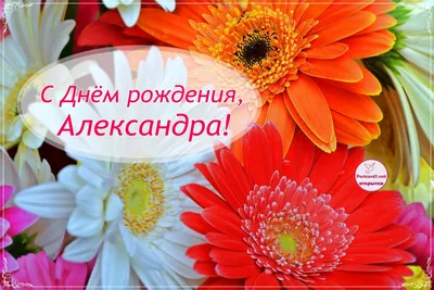 Счастья и удачи в День Рождения, Евангелина! 