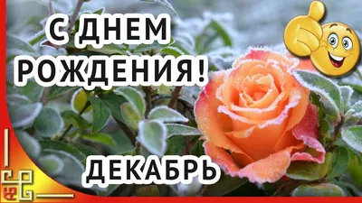 Веселые поздравления с Днем рождения, Карина