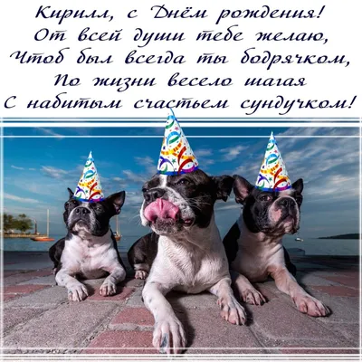 С Днем рождения, Кирилл! Фото-открытка в формате JPG