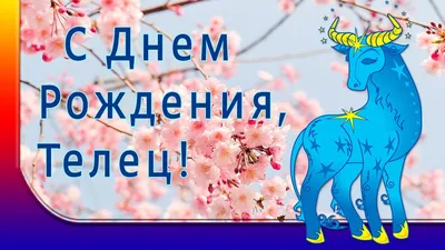 Счастливого Дня рождения, Лея! 