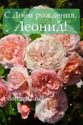 С Днем рождения, Леонид! Красивое изображение с цветами
