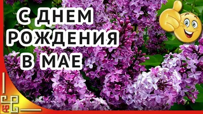 С Днем рождения, Майя! Картинки с праздничным настроением