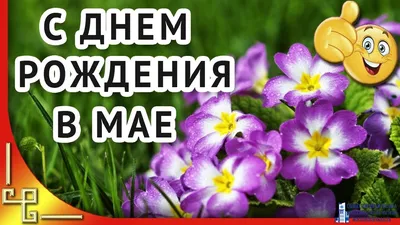 С Днем рождения, Майя! Фото с букетами цветов