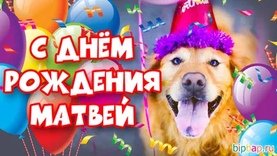 Матвей! С днём рождения! Красивая открытка для Матвея! Открытка с  воздушными шариками на серебристо-золотом фоне!