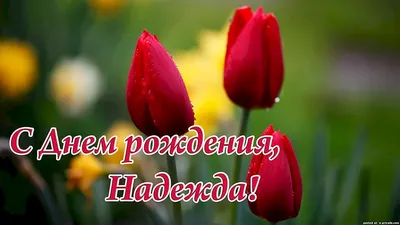 Посольство США в РФ/ U.S. Embassy Russia on X: \"С Днём рождения, Надежда!  #FreeSavchenko #СвободуСавченко http://t.co/5KsUC4GzKB\" / X