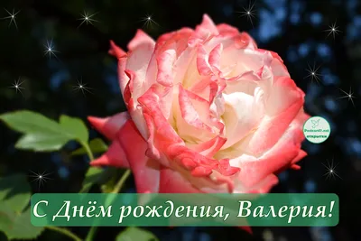 Счастья, здоровья и успехов в новом году жизни!