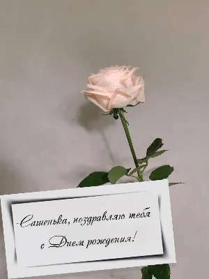 Саша#поздравляю#с# Днём#рождения# | TikTok