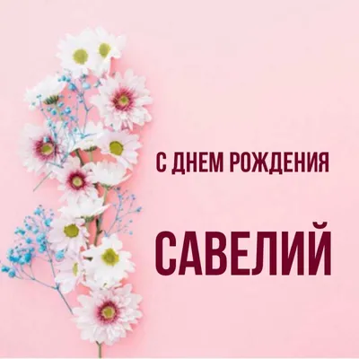 С Днем рождения, Савелий! Картинка для всех размеров устройств