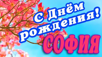 Счастливого дня рождения, София! Красивые фото и картинки