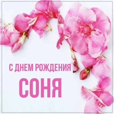 С днем рождения софья девочке открытка - 70 фото