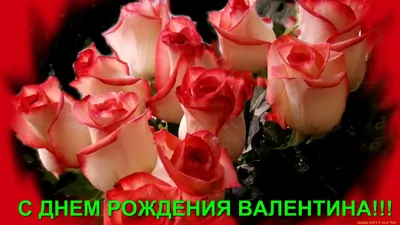 Фотография с цветами и поздравлением на День рождения Валентина