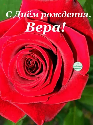 Торт с днем рождения Вера