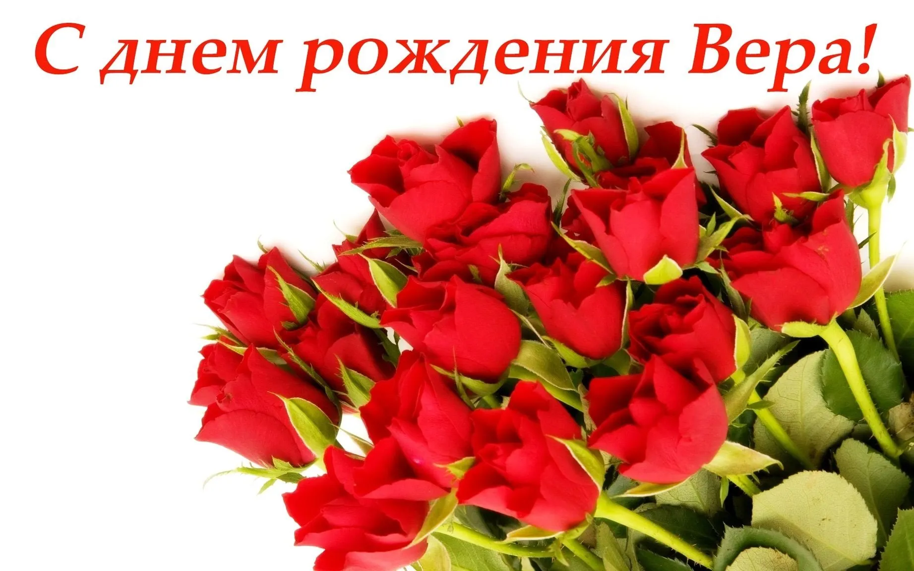 Вера, с Днем рождения! Новые фото для твоей коллекции. Вера, с Днем рождения! Новые фото для твоей коллекции.