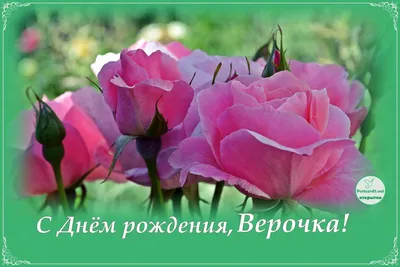 Поздравляем тебя, Вера! Новые фотографии нашей жизни вместе.