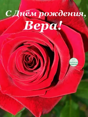 С Днем Рождения, Вера! Фото на память о празднике.