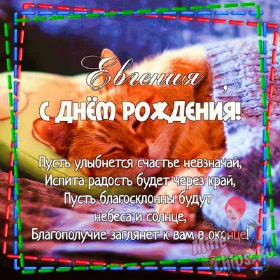 Забавная открытка с Днём Рождения женщине, с лягушкой в костюме, с цветами  • Аудио от Путина, голосовые, музыкальные