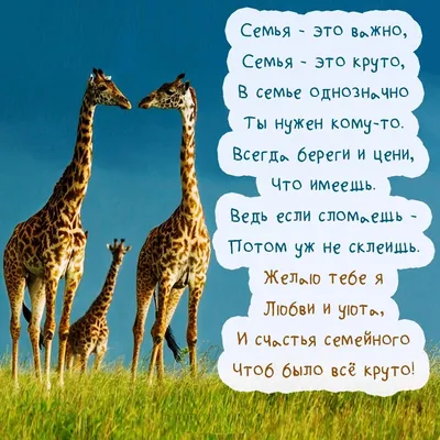 Международный день семьи 15 мая: поздравления в стихах и прозе