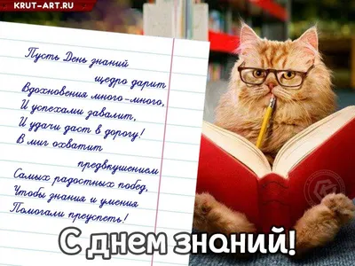 День знаний иллюстрации — Liliya Shinkarenko