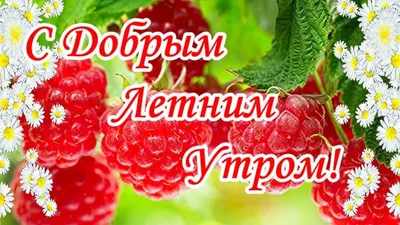 Открытки доброе летнее утро доброе утро...