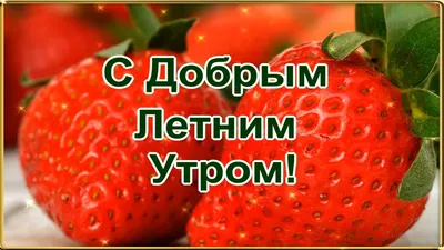 ☀️🌴😄 Картинки с добрым летним утром - скачать (245 шт.)