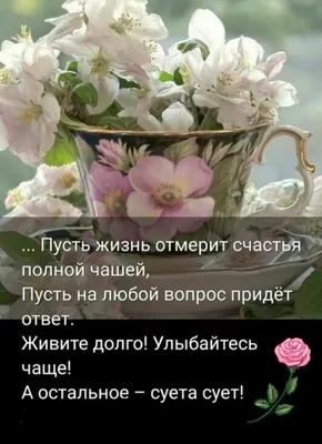 🌸✨🌸 С ДОБРЫМ МАЙСКИМ УТРОМ 🌸✨🌸 Ах, какая прелесть в мае по утру  Выглянуть в окошко и увидеть, вдруг,.. | ВКонтакте