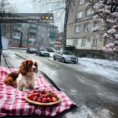 Весенние открытки \"Доброго утра!\" (230 шт.)