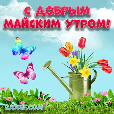 С добрым майским утром вторника!🌅 Хорошего дня и отличного настроения!  Фото Анны Петрушиной | ВКонтакте