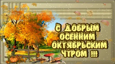 Открытки с добрым воскресным утром | Открытки, Милые открытки, Доброе утро