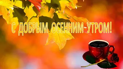 С добрым осенним утром🍂🍂🍂 | Осень, Веселые картинки, Картинки