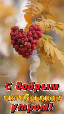 С добрым октябрьским утром!☕🍁☕🍁☕🍁☕💜💙💜💙💜💙💜 | TikTok