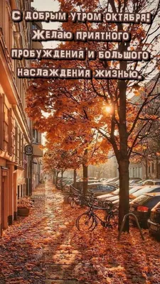 С Добрым Осенним Утром! 🍂 | Instagram