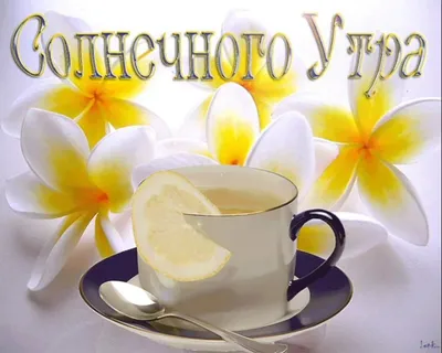 Летние открытки \"Доброго утра!\" (233 шт.)