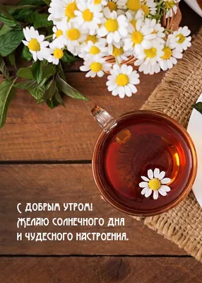 С добрым солнечным утром хорошего…» — создано в Шедевруме