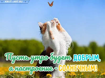 Открытки \"Доброго сентябрьского утра!\" (100+)