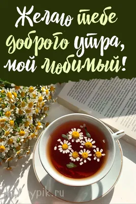 С добрым утром, дорогие друзья! Пусть пятница будет продуктивной и,  одновременно, легкой и радостной! Ведь.. | ВКонтакте