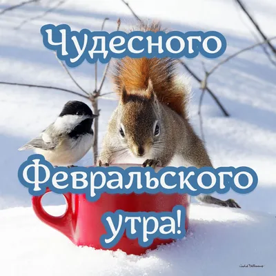 С добрым утром 💞 | Рождественская колядка, Доброе утро, Открытки