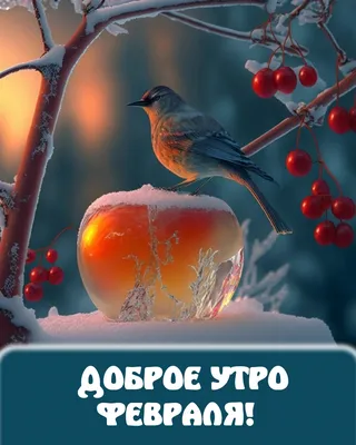 С добрым утром 18 февраля. Воскресенье #сдобрымутречком #доброеутро #1... |  TikTok