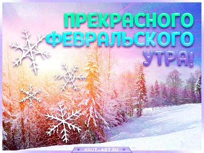 доброе субботнее утро февраля красивое видео｜Поиск в TikTok